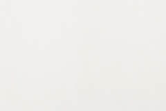 5139 Juliet White